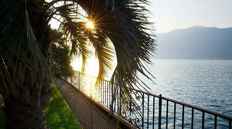 ������ ����������� �� �������� � ����: ��� ����� ��������� ������� ��� ���������