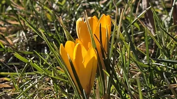 � ���������� �������� �������: ����������� ����� � ����� ������������ � �����?