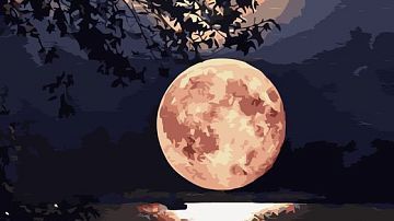 ������� ��� ������ ������� ����: ����� ������ ��� ����� �������