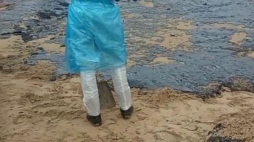 ����������� ���� �� �� � ���������: �� ������ ������� ������� �������� �������
