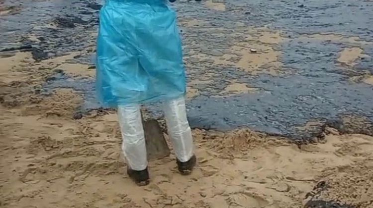 ����������� ���� �� �� � ���������: �� ������ ������� ������� �������� �������