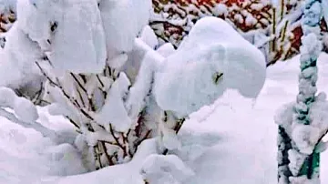 ��������� �� ������ �� �������� �������� ������ ������: ����� ��� �� ���������� ������