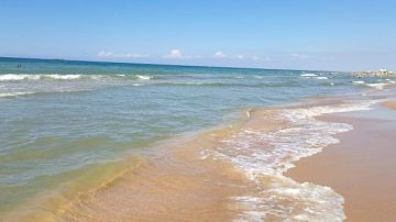 ���������� �������� � ��������! �� ������ ���������, ��� ����� ��������������� "������� �����"