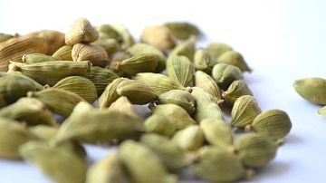 ������ ��������� - ��������: ������ ������ ��� ����! ��� ��� ��������� � �������� ��������