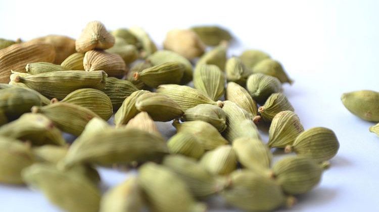 ������ ��������� - ��������: ������ ������ ��� ����! ��� ��� ��������� � �������� ��������