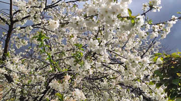 ���������� ��������� �� ������? ������ �� ������ ��������� �������� 