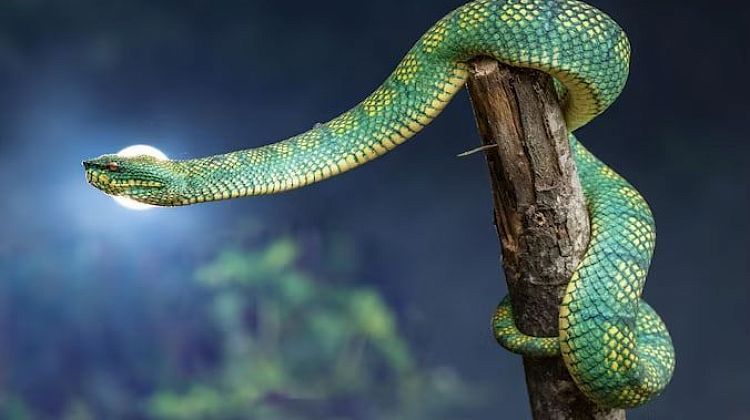 ��� ���������� �������: �������� ���� ���� ������� � �����