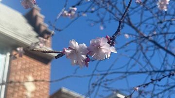 ����� �������� �������: �� ������ ������ ������ �����