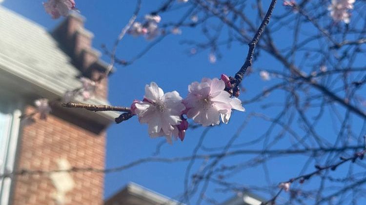 ����� �������� �������: �� ������ ������ ������ �����