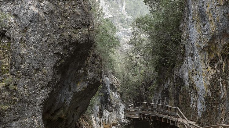 ������ ������� �� ������� ������: ����������� ������������ ��������