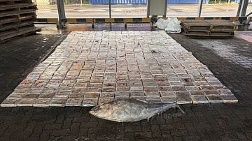 �������� ������� � �����: � ���������� ������� ������������ � ���������� � ������