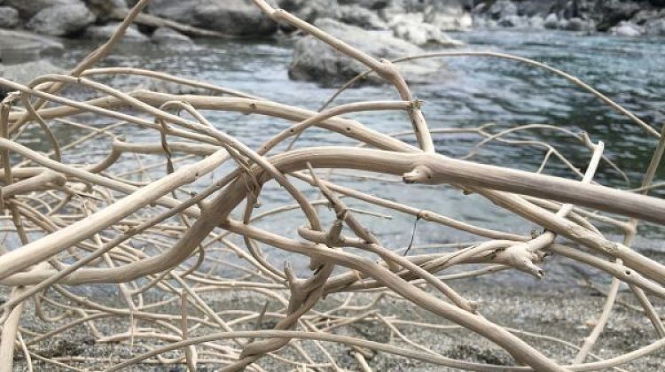 ������� ������ ��� �� ������: ������� ���������� ������ ������������� � �����������