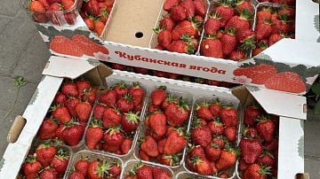 ���� �������� �� ������ �������� �������! ������� ����� ��������� ����� 