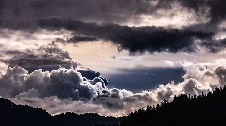 ����� �� ������ ��� ����� �� ������� ����: ����� � �������