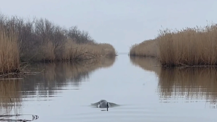 ������ ������ ������ ��������, ������� ��������� � �����: ��� ��������� ��� ��������