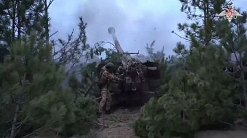 ������ �� 26 �����! ��������� ���� � ������: � �������� ������� ����������, � ��������� - ���������� �����������